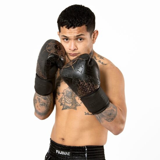 FUJIMAE SakYant II Leather Boxing Gloves