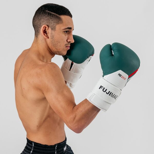 ProSeries Leather Boxing Gloves 2.0